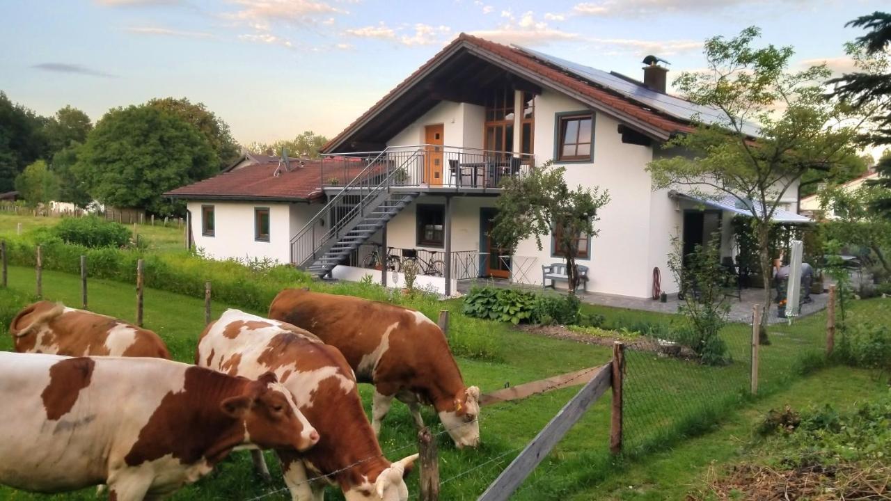 Exclusiv - Ferienwohnung Hinterreiter Ainring Extérieur photo